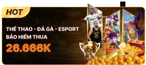 Hoàn trả thể thao