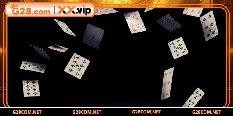 Các thuật ngữ chuyên môn hội viên cần biết