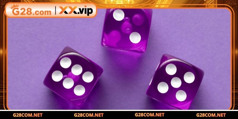 Hướng dẫn tham gia game Hilo dành cho người mới