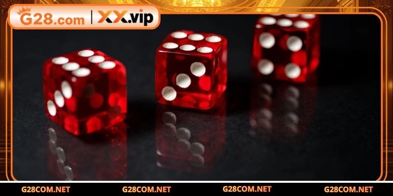 Quy trình tạo mã hóa được thiết kế tối ưu