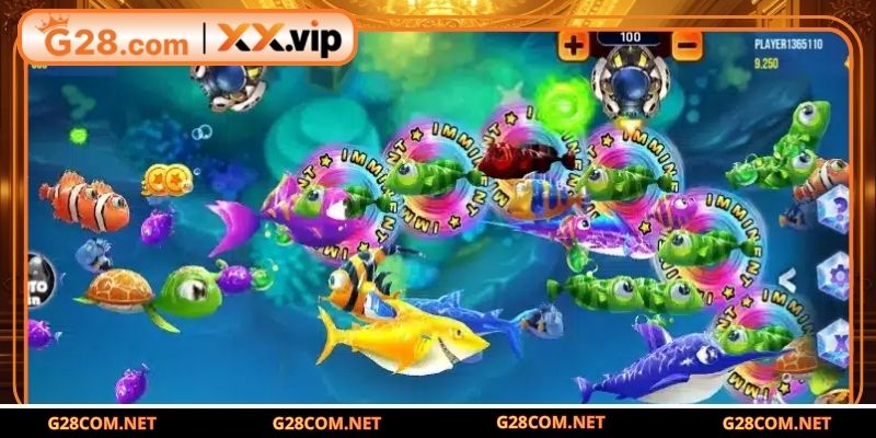 Ưu điểm nổi bật khiến Bancavui tại G28 hấp dẫn